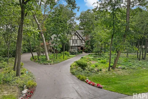 a view of a garden with plants
