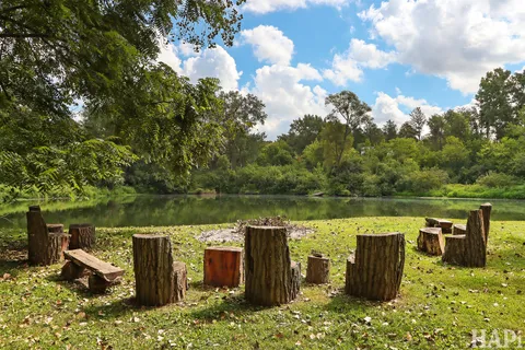 a yellow house with lots of trees