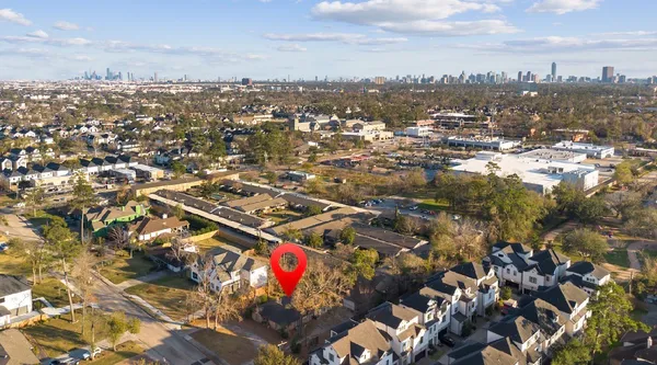 a picture of flowers