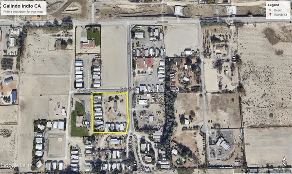 a row of palm trees sitting in the middle of a building