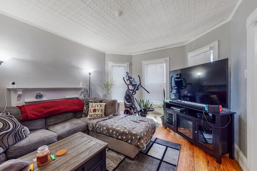 15 Windsor Road Somerville, MA 02144 - Photo 8 of 39 Gallery Image 8