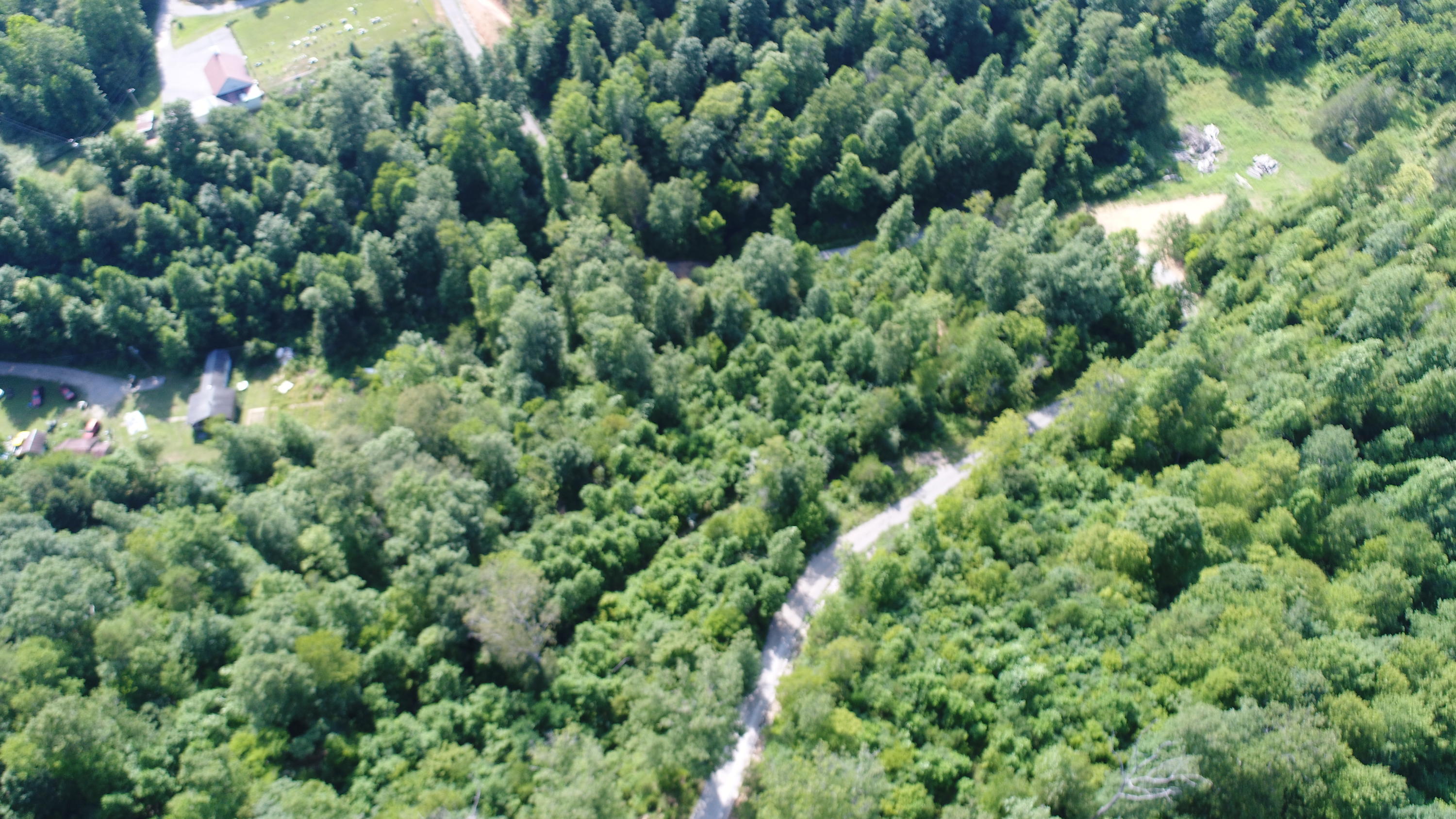 738 Acorn-Ano Road Somerset, KY 42501 - Photo 14 of 39 DJI_0180