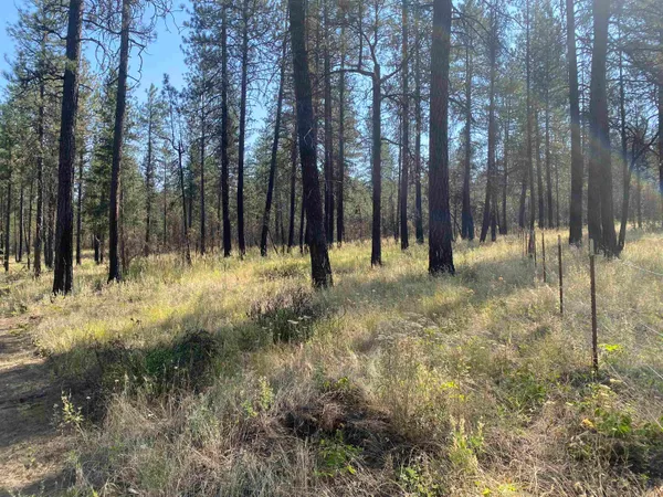 $110,000 | Elk-chattaroy East Rd Elk Wa 99009 Road, Elk, WA 99009