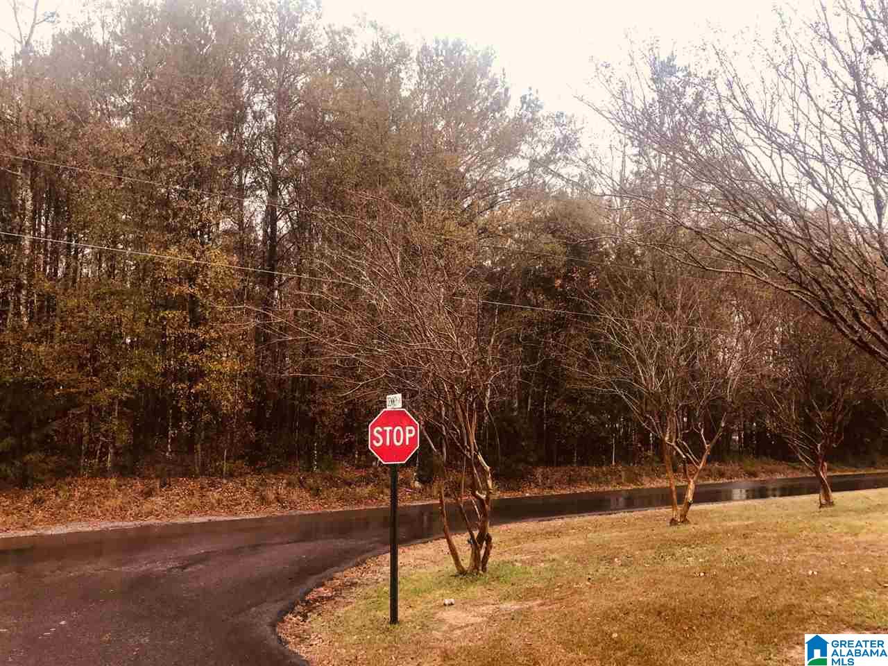 0 Kirby Road, Unit 2 2 Oxford, AL 36203 - Photo 7 of 8