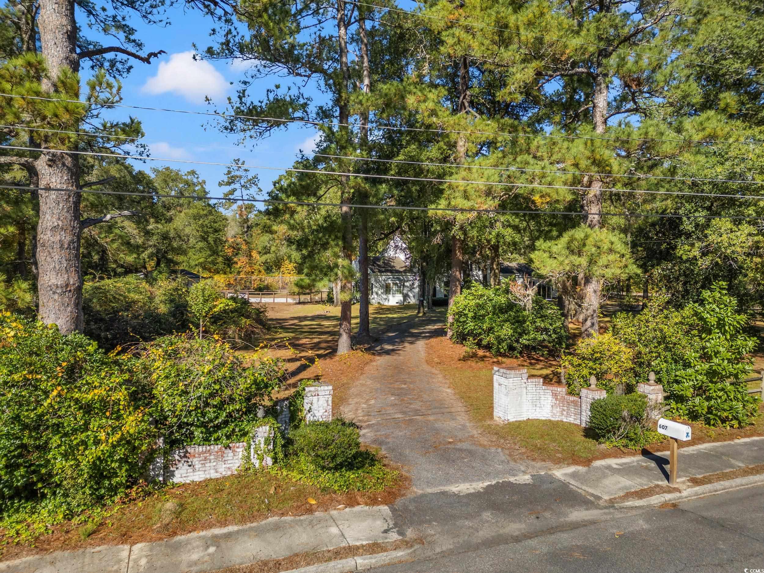 607 North Main Street Nichols, SC 29581 - Photo 30 of 39 View of home's community featuring view of wooded area