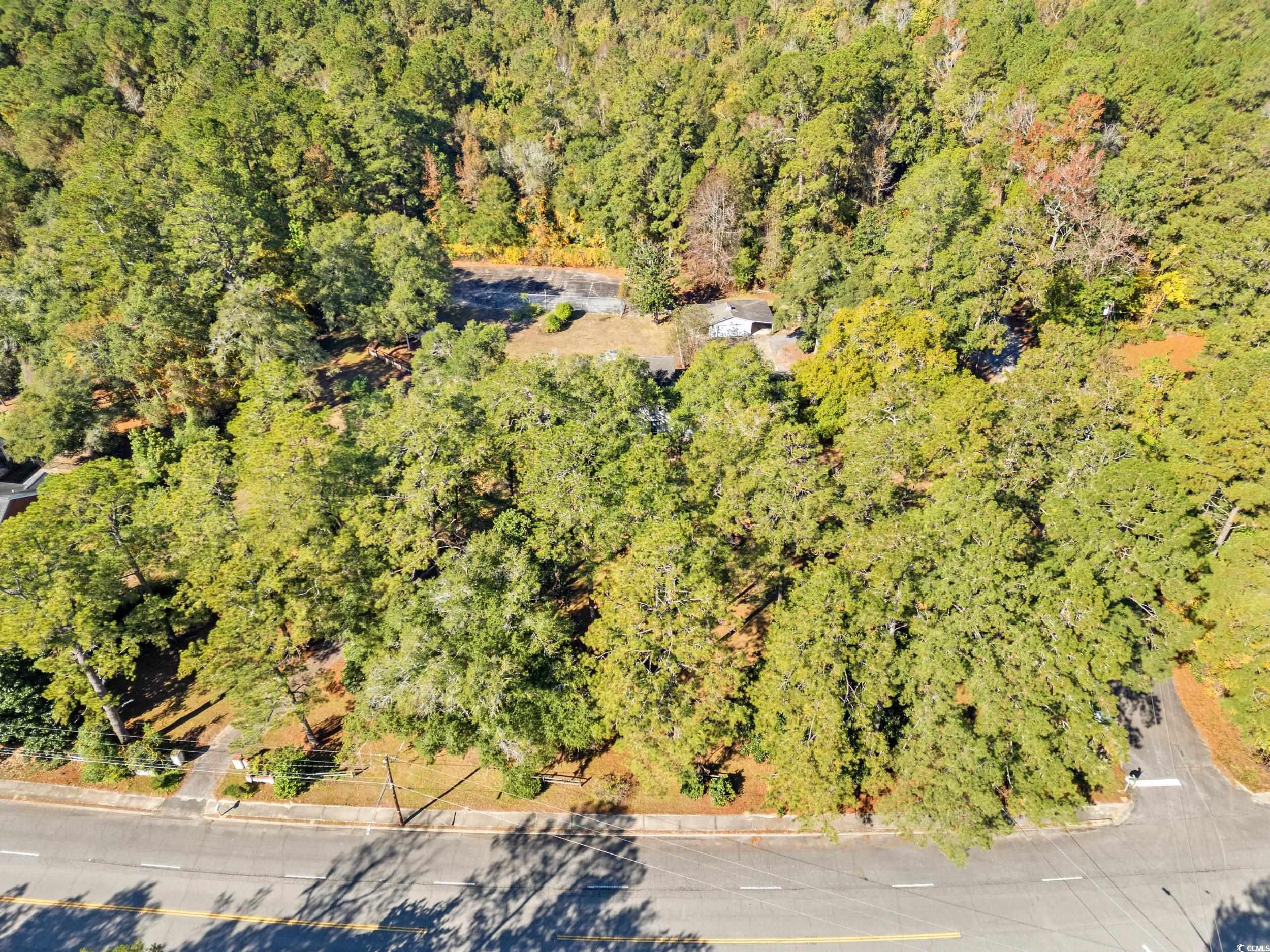 607 North Main Street Nichols, SC 29581 - Photo 37 of 39 Aerial view of a forest
