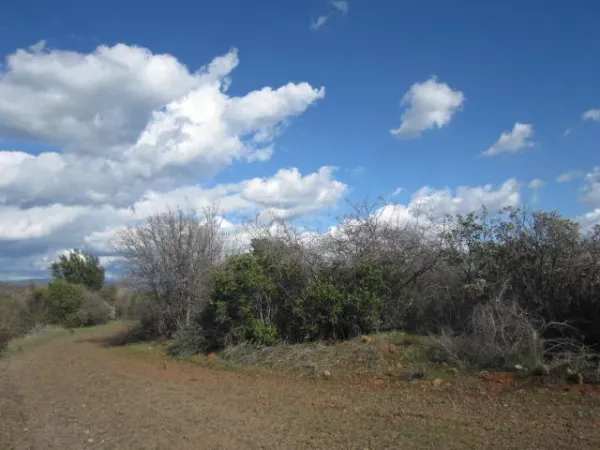 $72,000 | 0 Sky, Chico, CA 95928