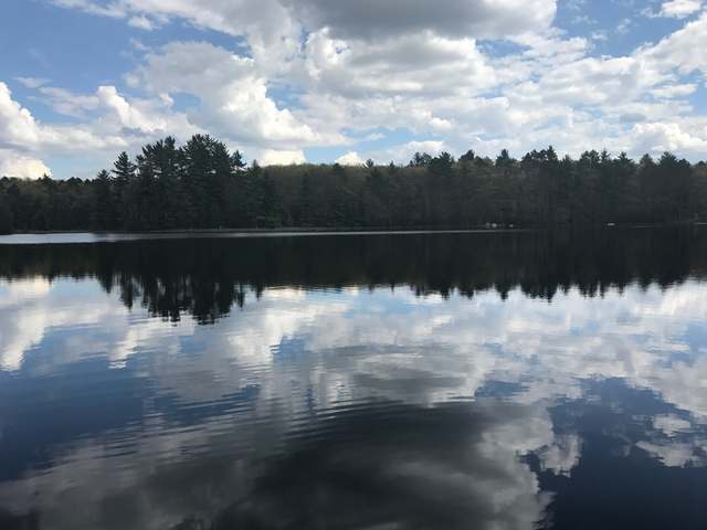 7125 Coon Lk Road Rhinelander, WI 54501 - Photo 10 of 11 Gallery Image 10