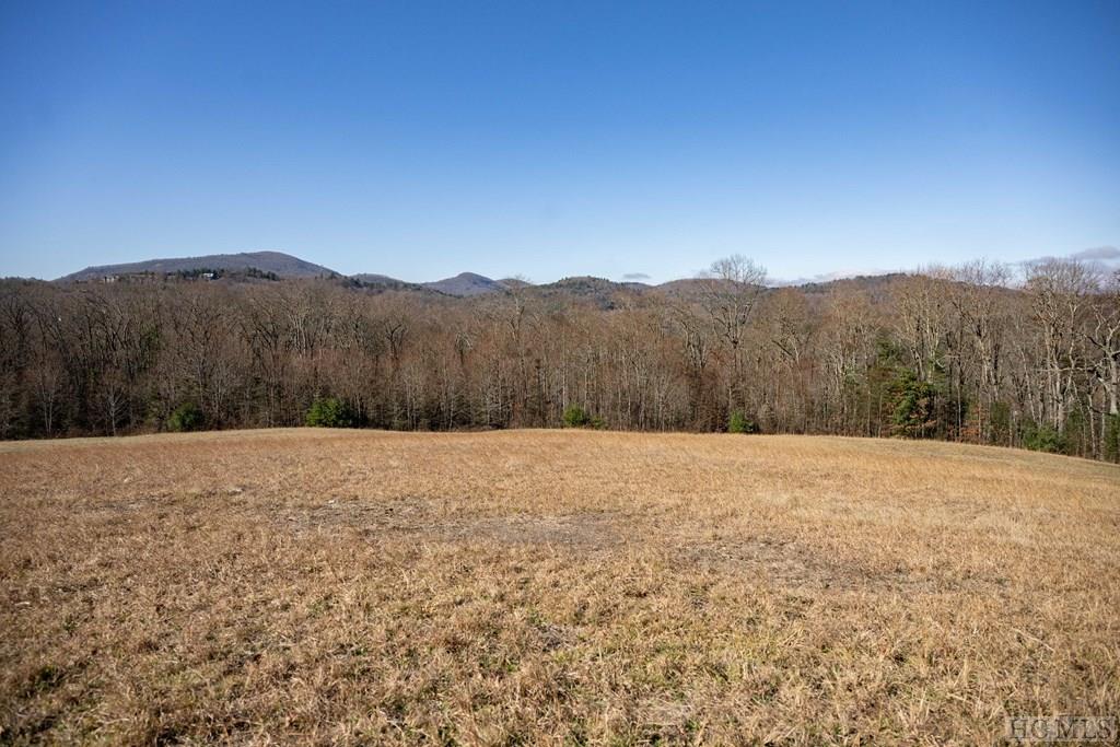 Lot 3 High Meadow Road Cullowhee, NC 28723 - Photo 17 of 20 Gallery Image 17