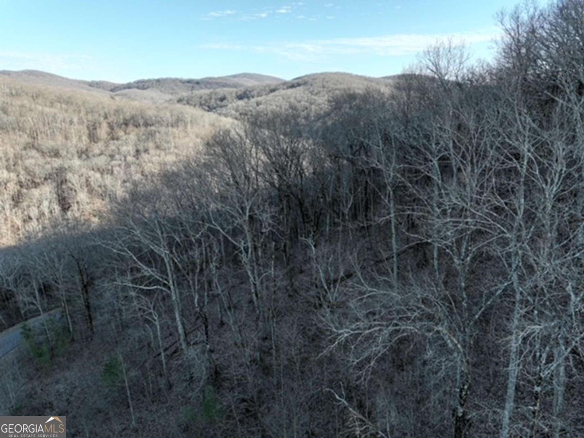 249 Andes Ridge Talking Rock, GA 30175 - Photo 15 of 20