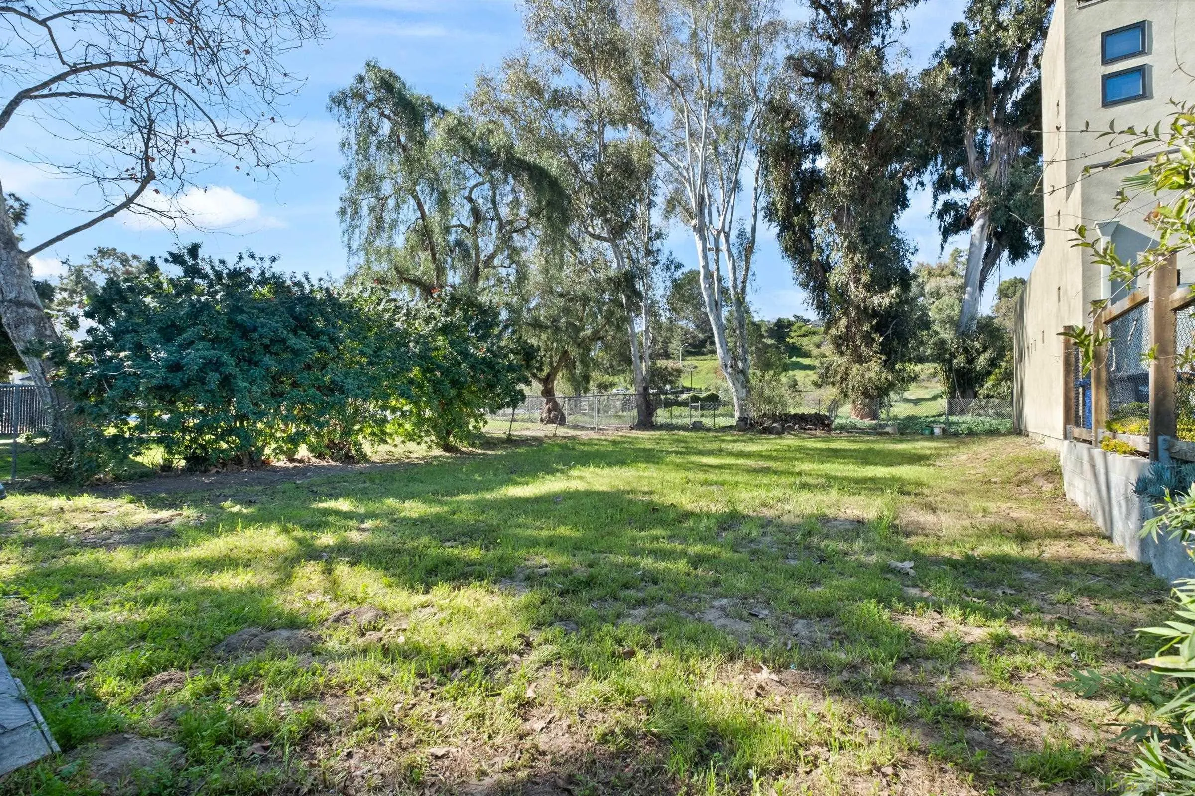 701 Valley Avenue Solana Beach, CA 92075 - Photo 16 of 38 a view of a yard with plants and large trees