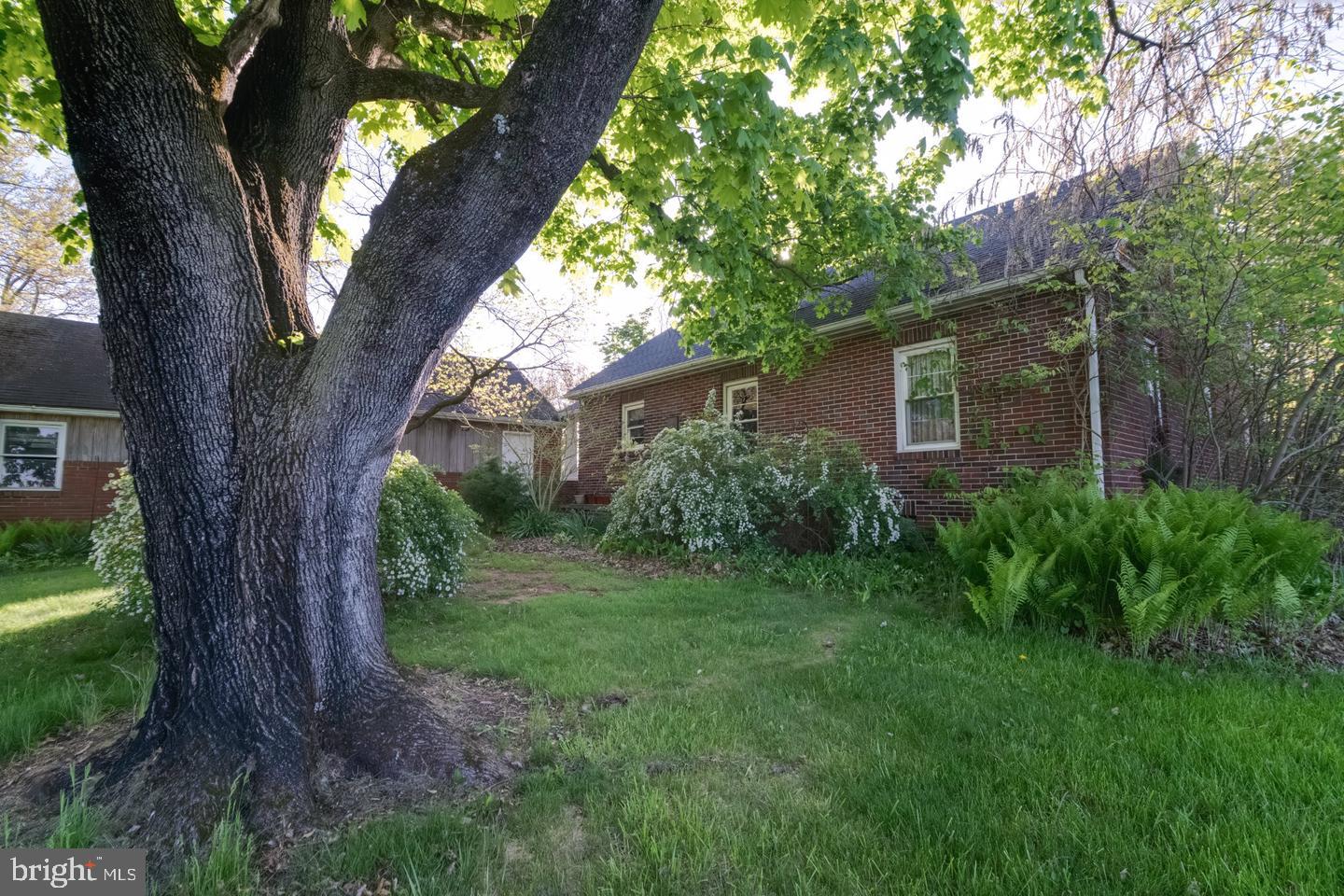 4330 Paradise Road Dover, PA 17315 - Photo 5 of 33 Charming brick home embraced by nature.