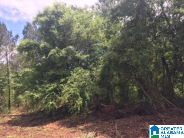 325 Springhill Road, Unit 1 Talladega, AL 35160 - Photo 29 of 31