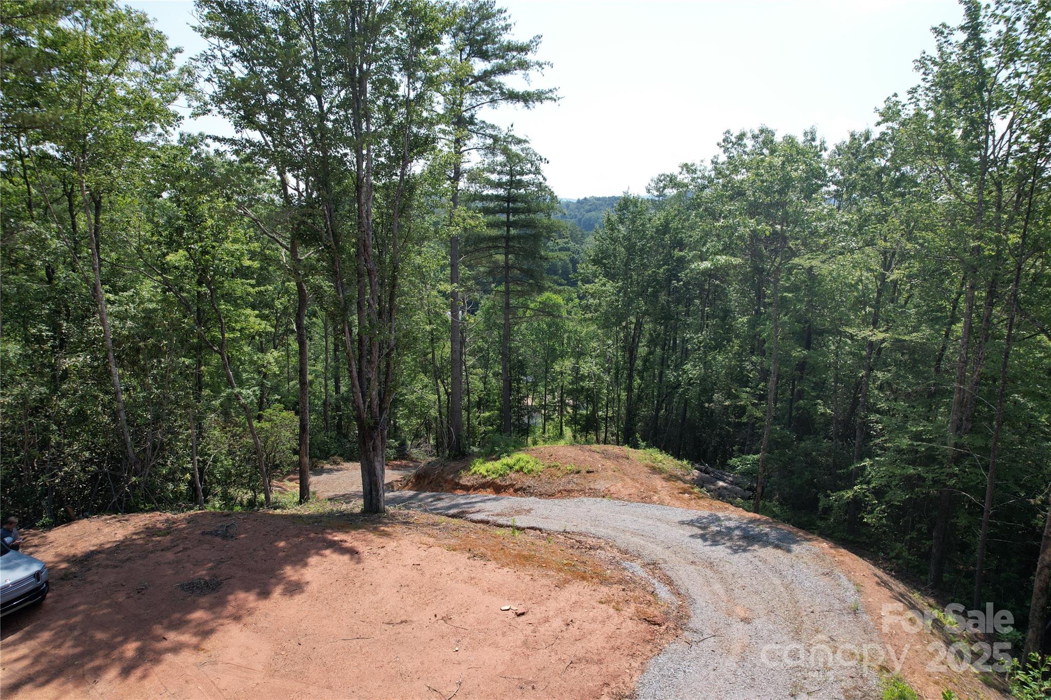 Tbd Bryson Road Brevard, NC 28712 - Photo 4 of 12 a view of a backyard with trees