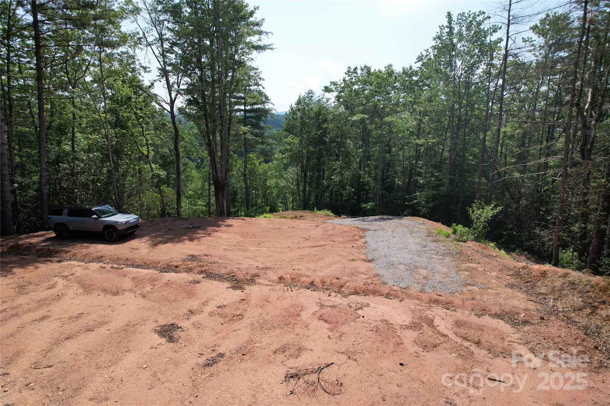 Tbd Bryson Road Brevard, NC 28712 - Photo 6 of 12 a view of backyard with trees