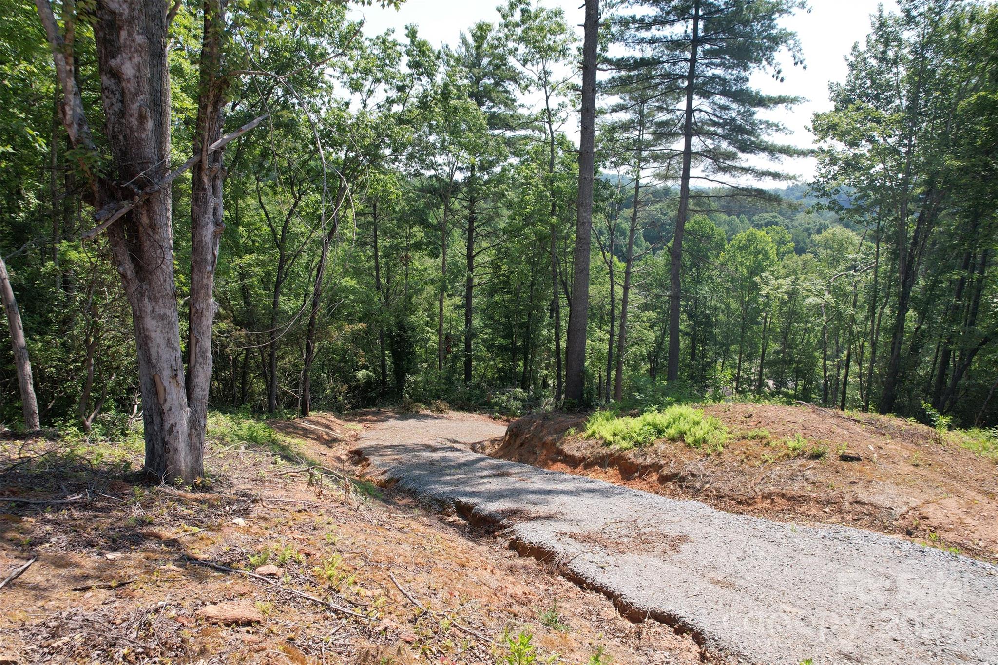 Tbd Bryson Road Brevard, NC 28712 - Photo 7 of 12 a wooden bench with trees in the background
