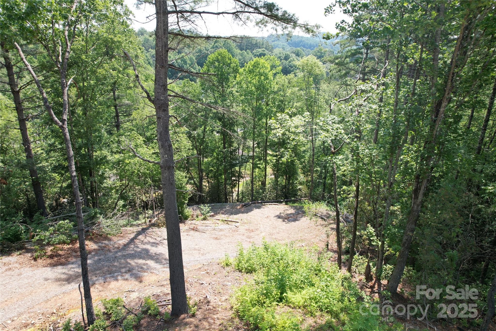 Tbd Bryson Road Brevard, NC 28712 - Photo 8 of 12 a view of a yard covered with trees