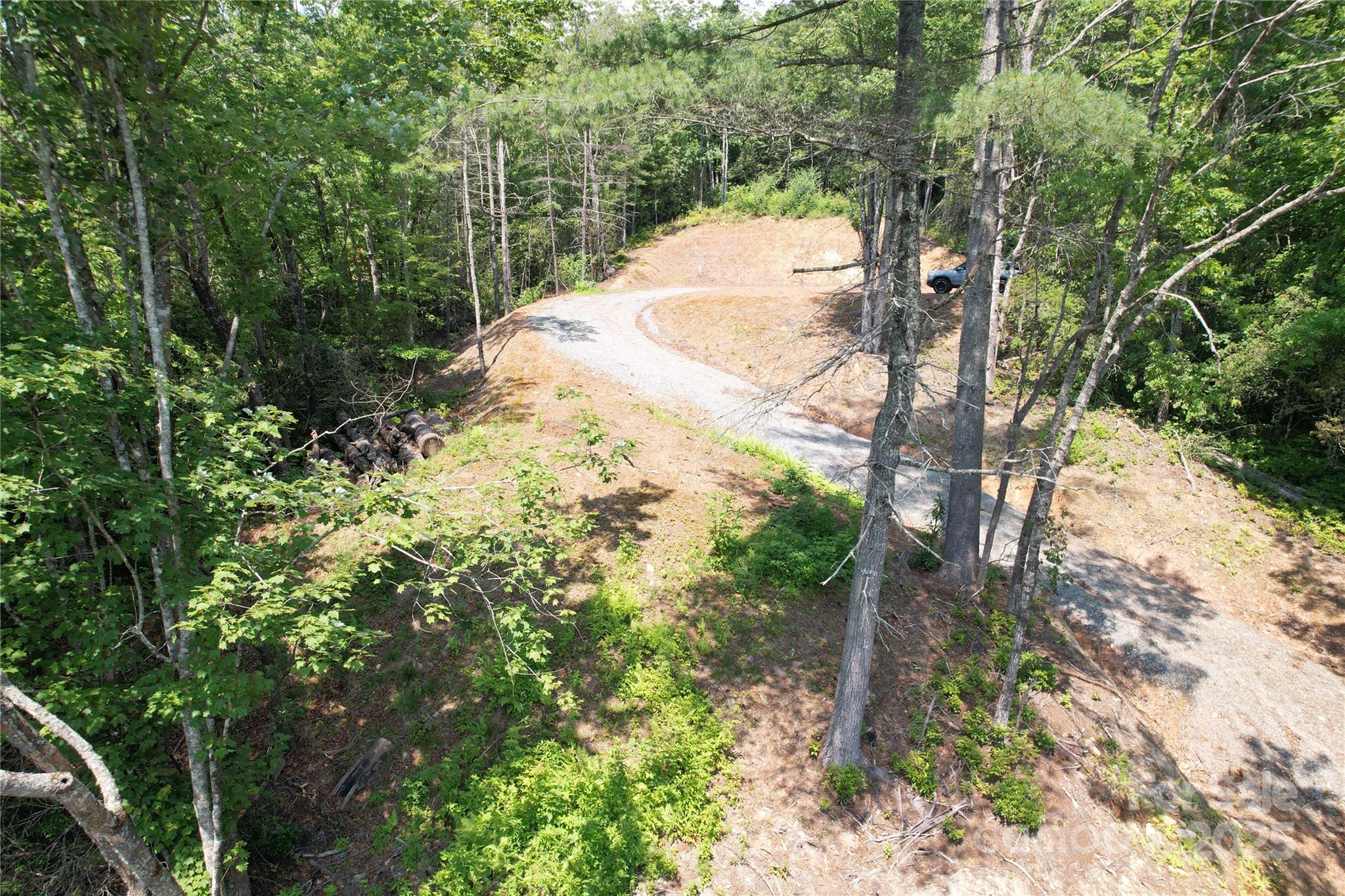 Tbd Bryson Road Brevard, NC 28712 - Photo 9 of 12 a view of a yard with plants and large trees