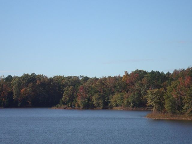 0 Tom Young Bridge Road, Unit 14 25 ACRES Lowndesville, SC 29659 - Photo 3 of 13