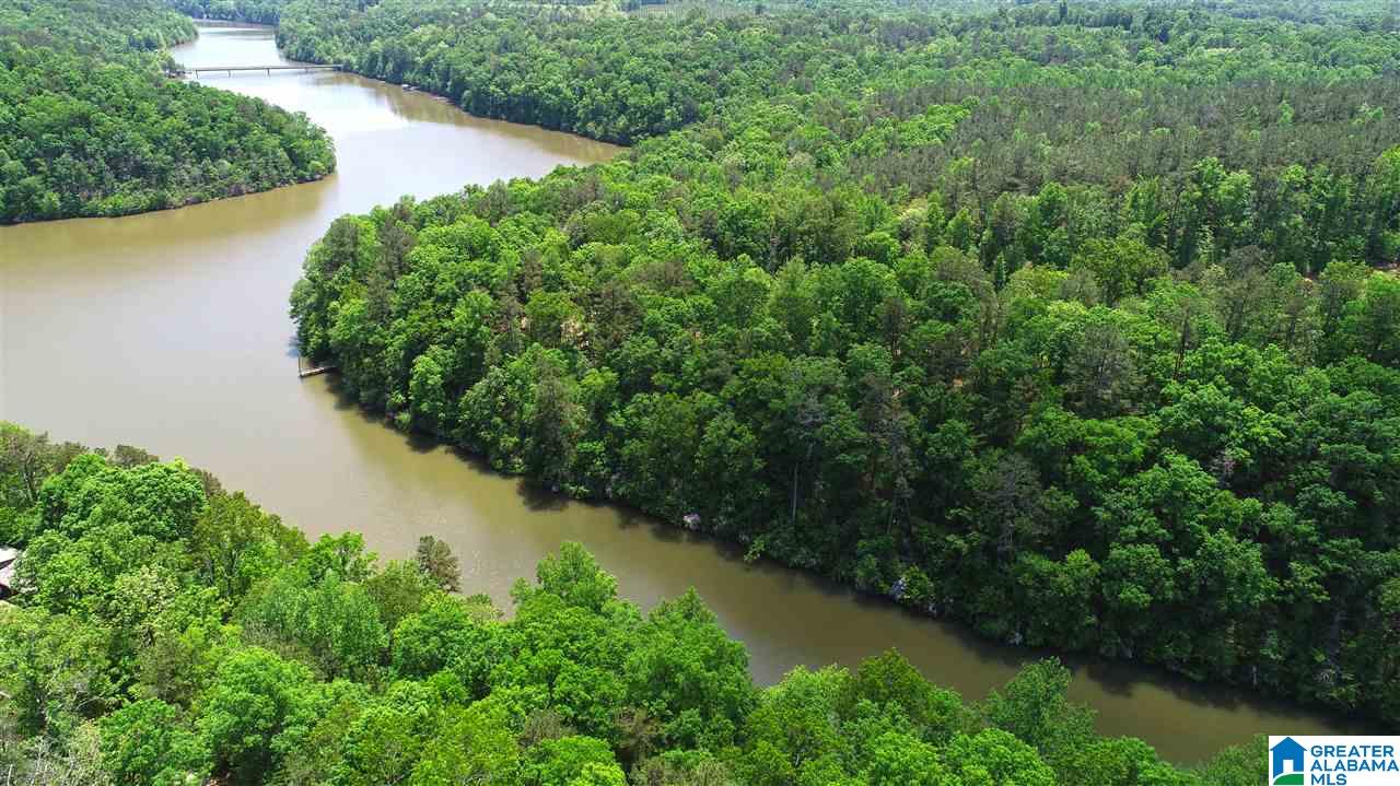 2011 County Road Wedowee, AL 36278 - Photo 1 of 6