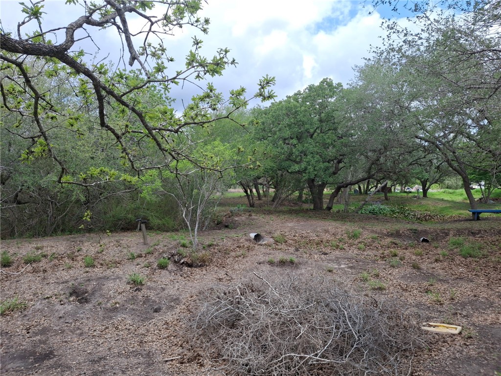 9213 Pvt 6005 Road Sinton, TX 78387 - Photo 12 of 24