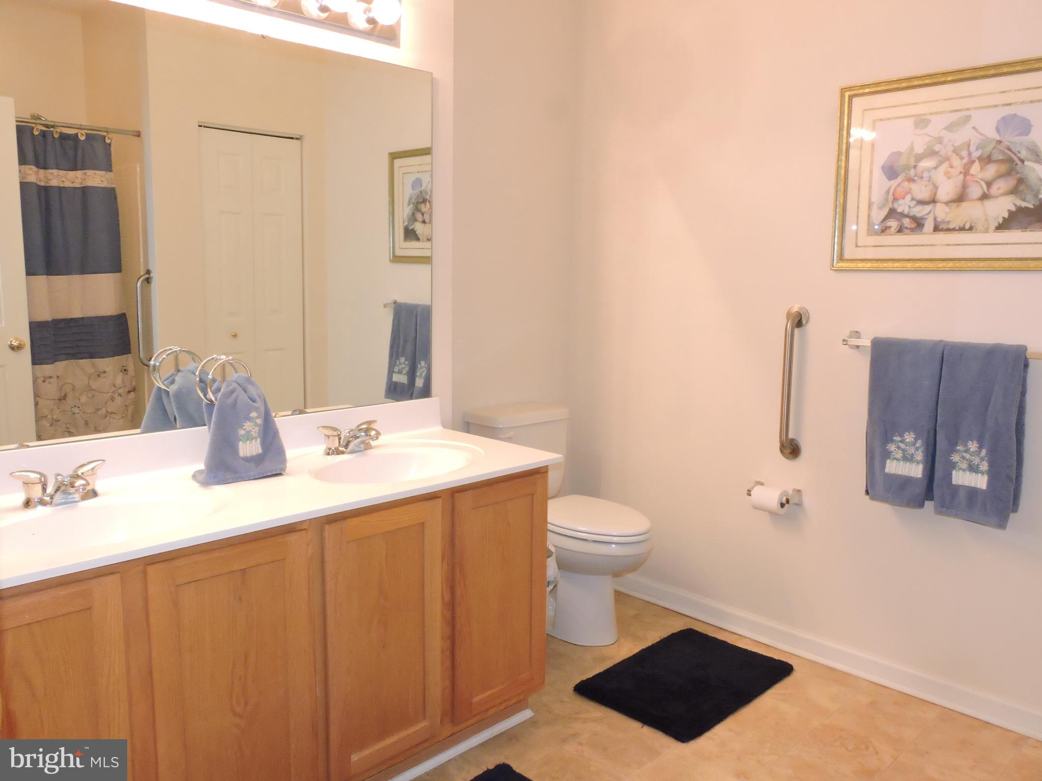5254 Glenthorne Court Rosedale, MD 21237 - Photo 23 of 45 Owners bath - double sinks