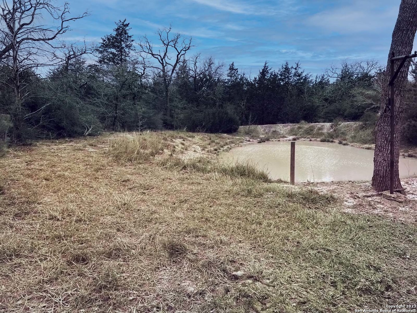 3100 Chuckwagon Road Harwood, TX 78632 - Photo 1 of 10