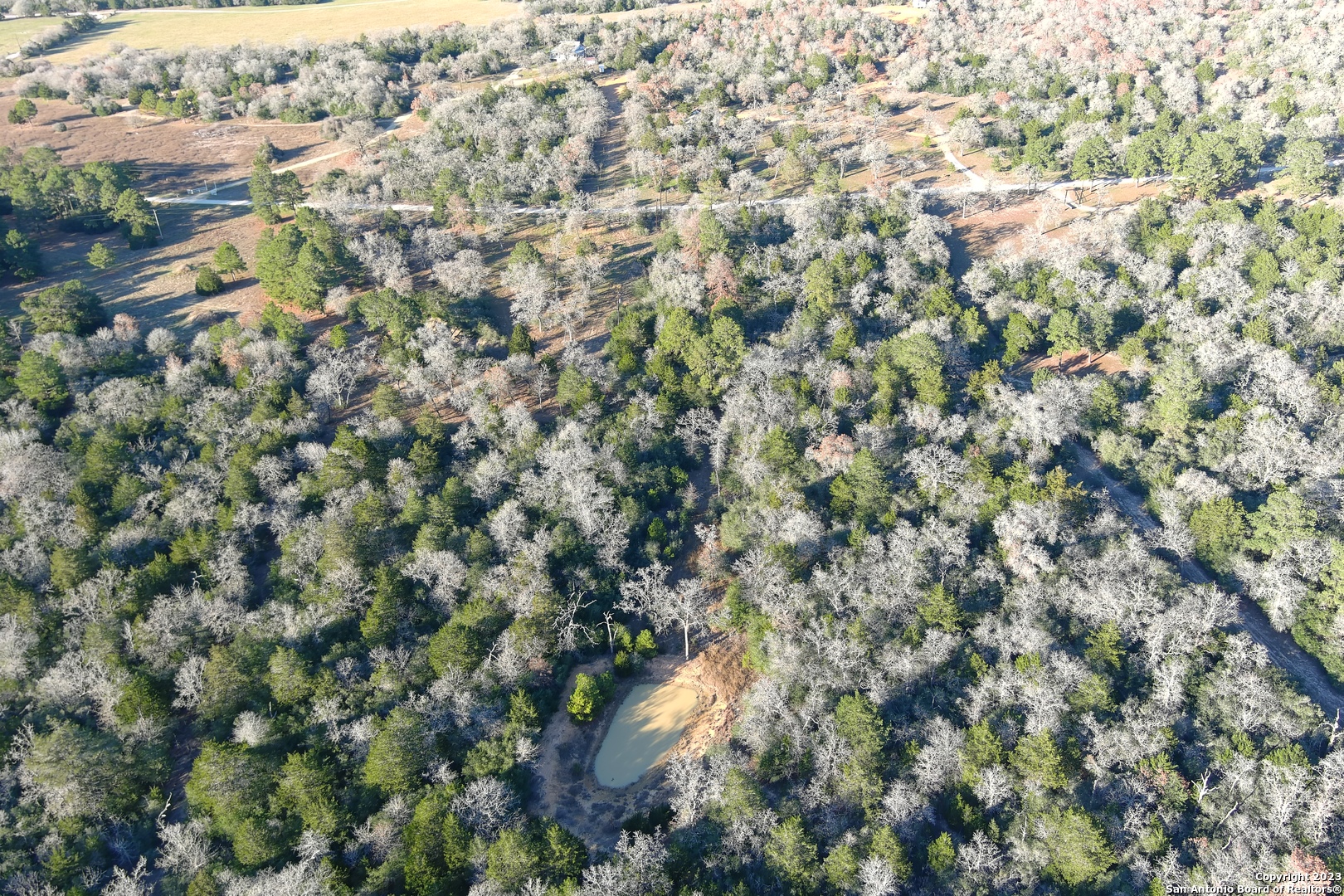 3100 Chuckwagon Road Harwood, TX 78632 - Photo 4 of 10