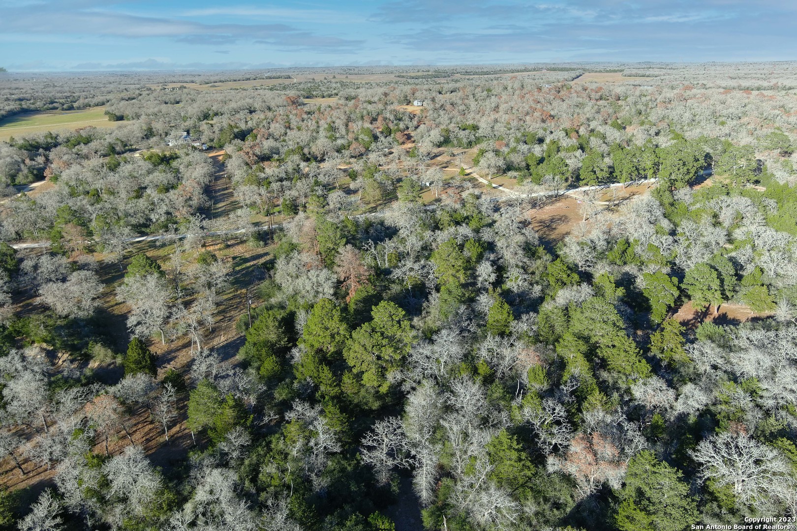 3100 Chuckwagon Road Harwood, TX 78632 - Photo 6 of 10