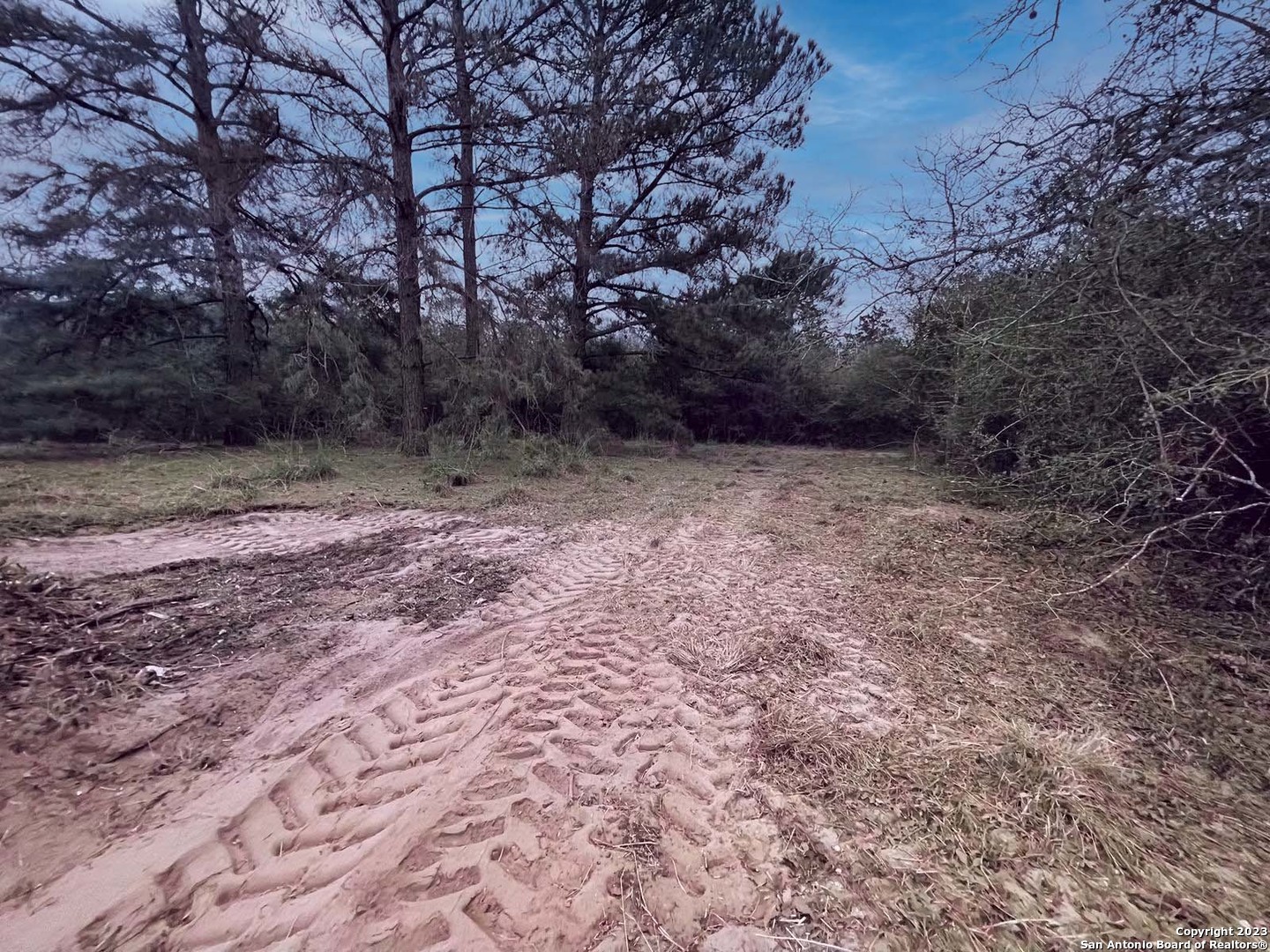 3100 Chuckwagon Road Harwood, TX 78632 - Photo 7 of 10