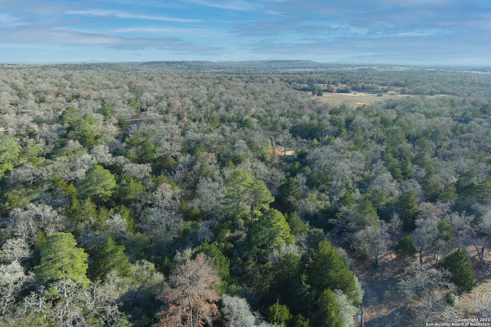 3100 Chuckwagon Road Harwood, TX 78632 - Photo 8 of 10