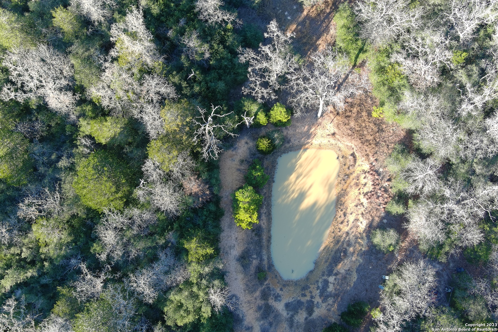 3100 Chuckwagon Road Harwood, TX 78632 - Photo 10 of 10