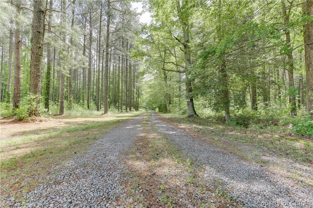 4701 North River Road Foster, VA 23056 - Photo 5 of 48 Long, treed entrance