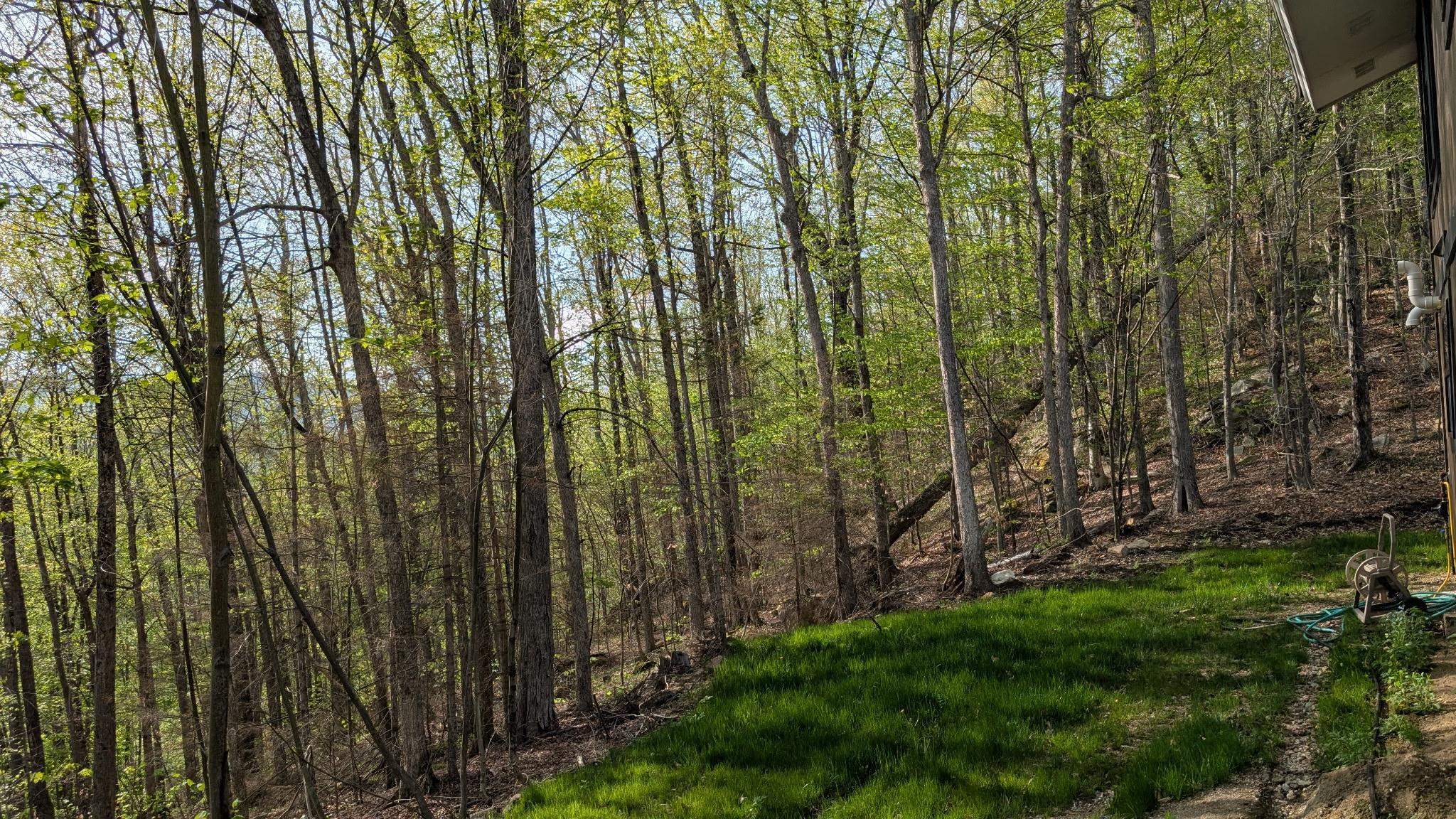 303 Winding Way Killington, VT 05751 - Photo 6 of 6
