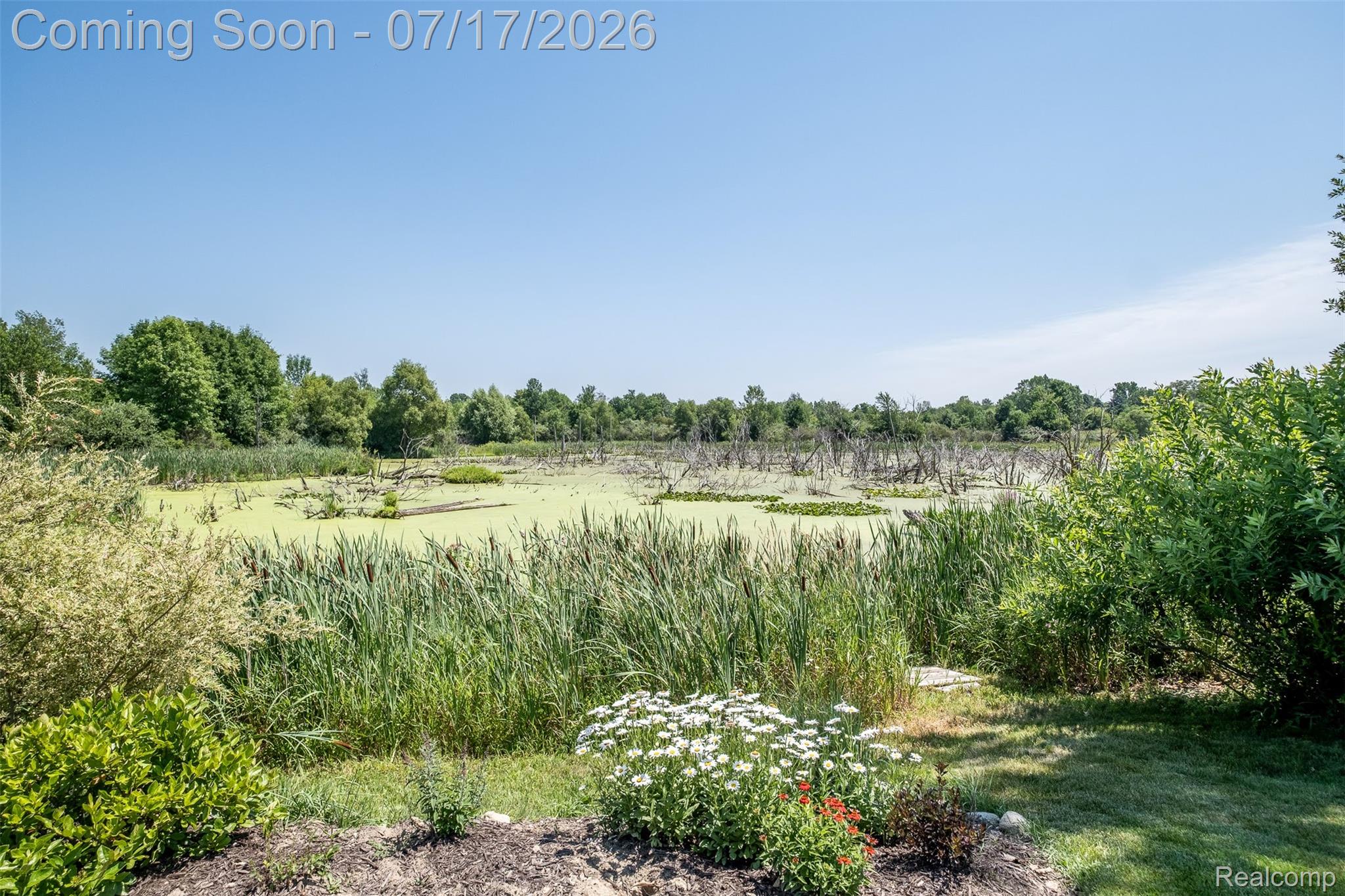 12349 Sugar Maple Drive Fenton, MI 48430 - Photo 60 of 67 View of pond in back yard