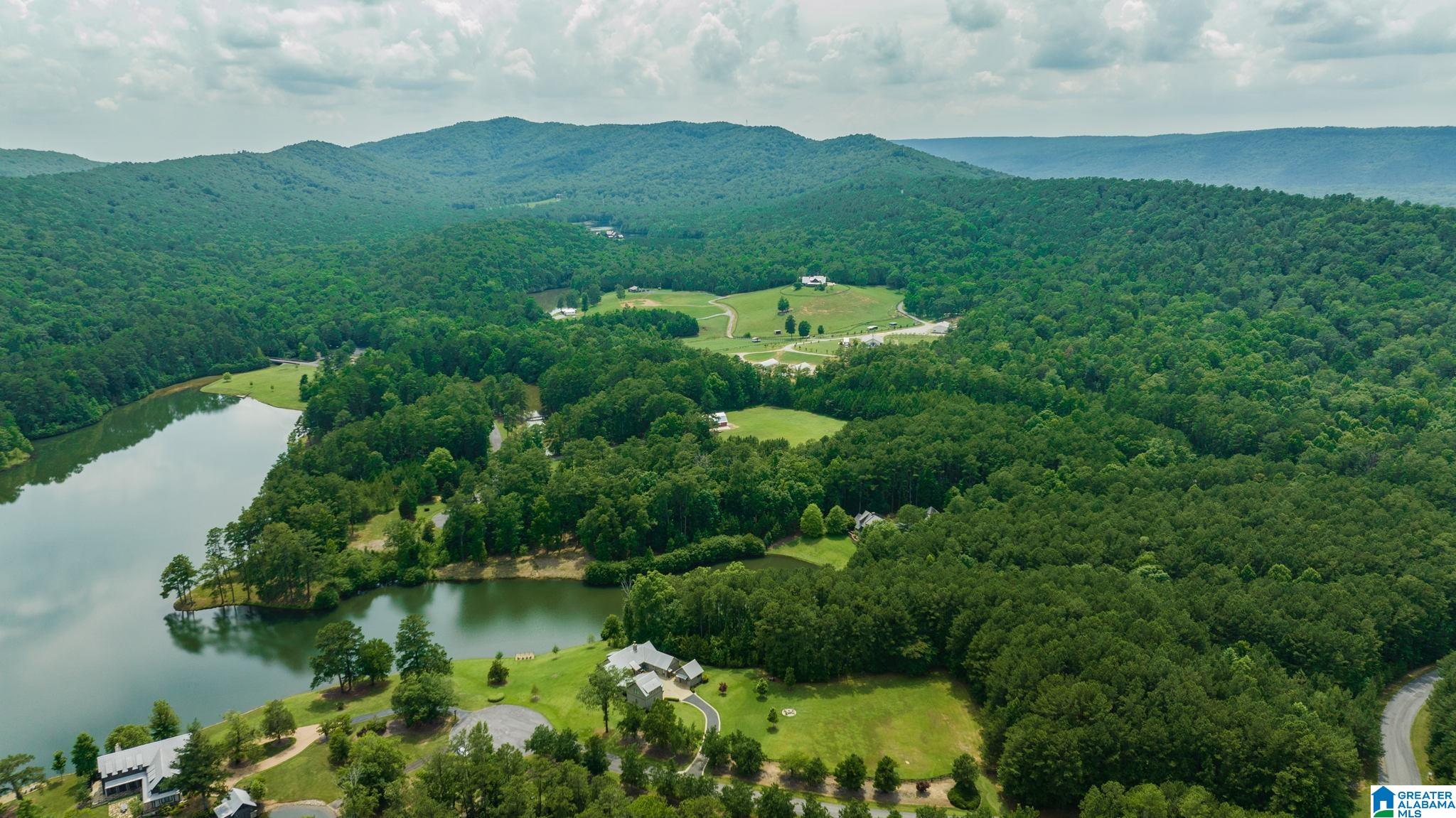 Lot 23 Saunders Bridge Road, Unit 23 Sterrett, AL 35147 - Photo 4 of 30