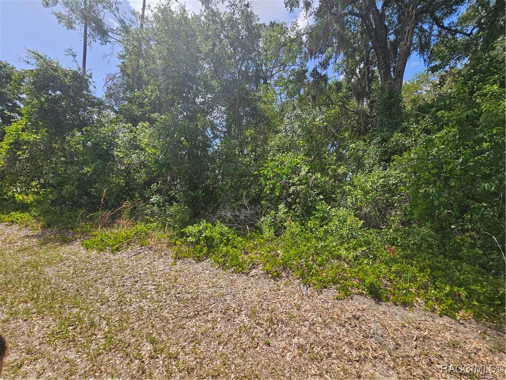 2828 East Chartwell Circle Hernando, FL 34442 - Photo 2 of 17