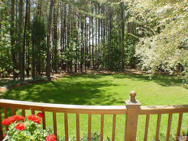 8801 Attingham Drive Raleigh, NC 27615 - Photo 10 of 10 View of backyard from deck, great level lot