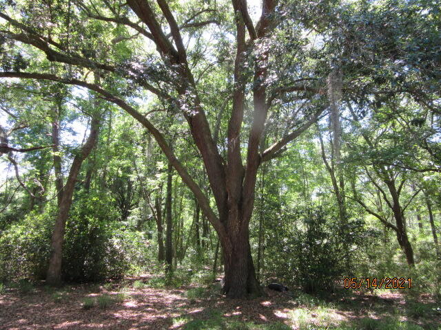 2992 Cane Slash Road Johns Island, SC 29455 - Photo 4 of 6 IMG_1133