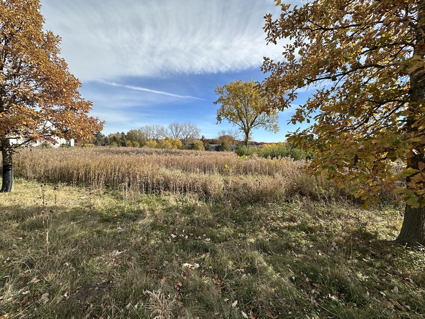 3 Templeton Drive Oak Brook, IL 60523 - Photo 1 of 5 a view of a lake