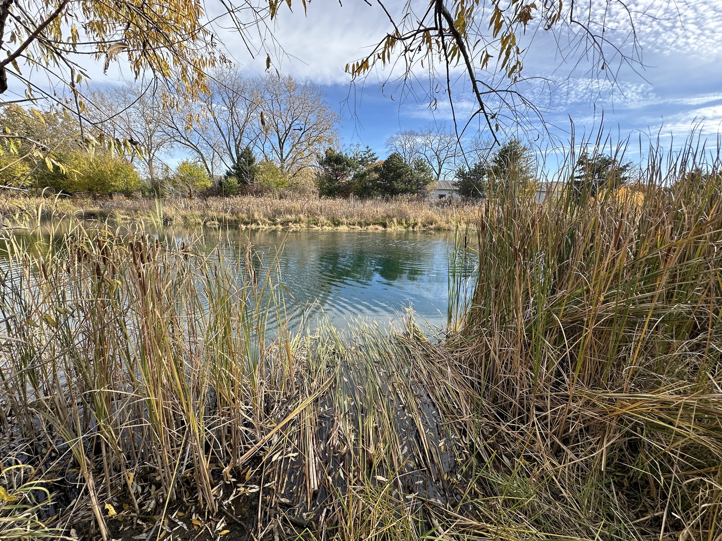 3 Templeton Drive Oak Brook, IL 60523 - Photo 3 of 5 a view of lake