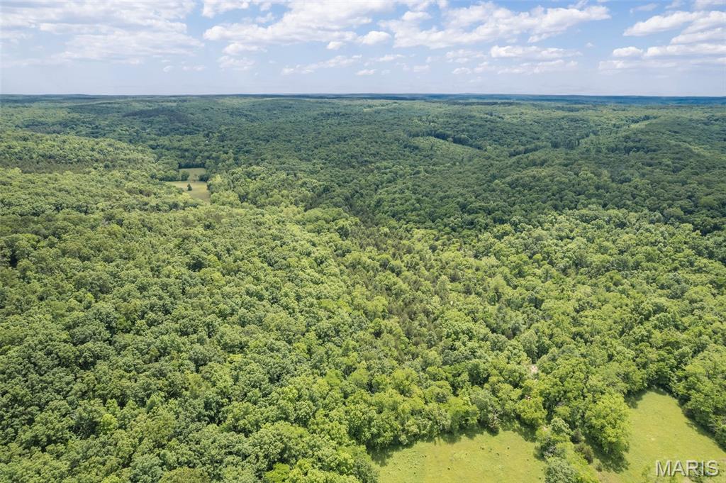 23201 Private Drive Duke, MO 65461 - Photo 2 of 30