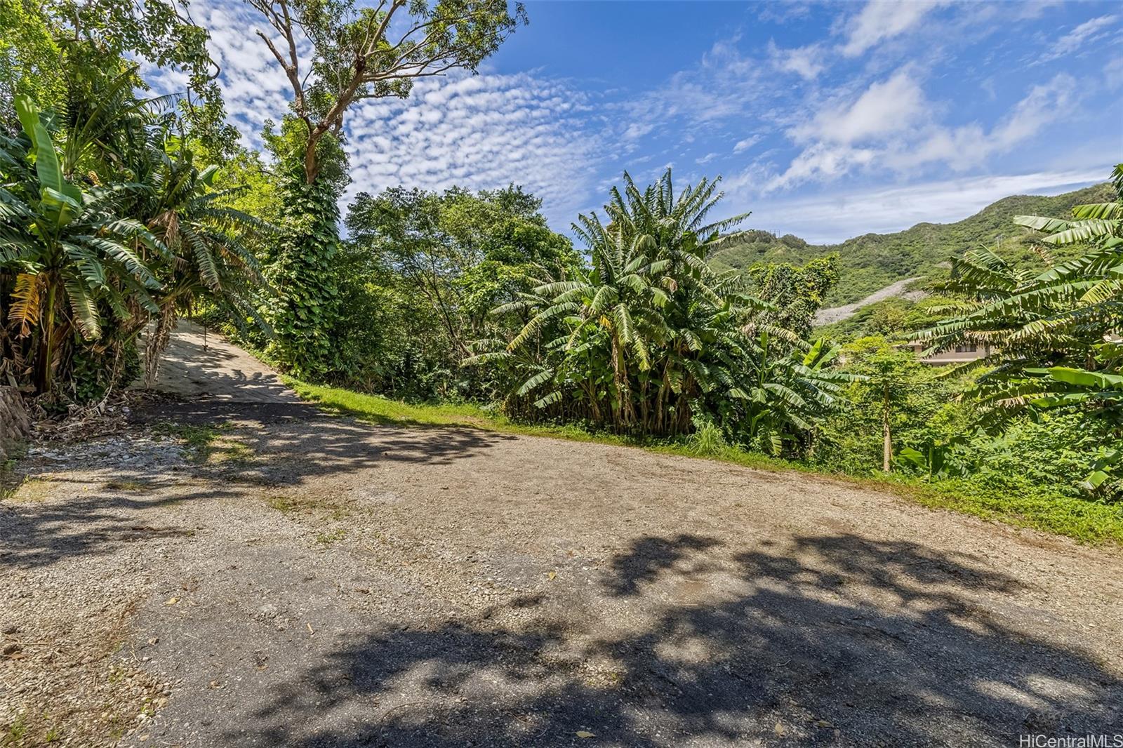 2640 Lai Road, Unit E Honolulu, HI 96816 - Photo 5 of 25 a view of a plants with a tree