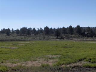 0 T22n R 3e Williams, AZ 86046 - Photo 2 of 3 Additional Photo