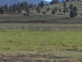 0 T22n R 3e Williams, AZ 86046 - Photo 3 of 3 Additional Photo