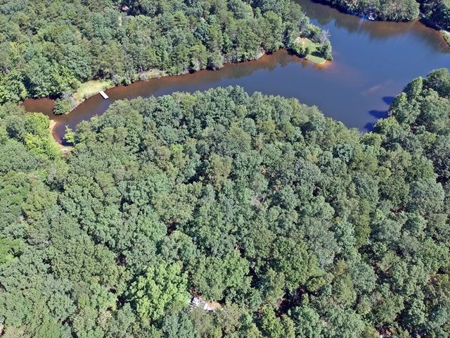 Lot 17 Frog Lake Road Rising Fawn, GA 30738 - Photo 1 of 6 DJI_0144