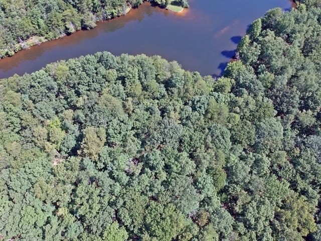 Lot 17 Frog Lake Road Rising Fawn, GA 30738 - Photo 3 of 6 DJI_0143