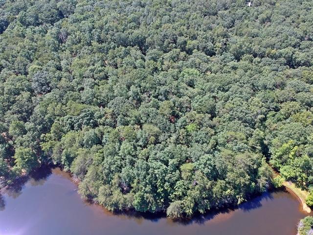 Lot 17 Frog Lake Road Rising Fawn, GA 30738 - Photo 5 of 6 DJI_0147