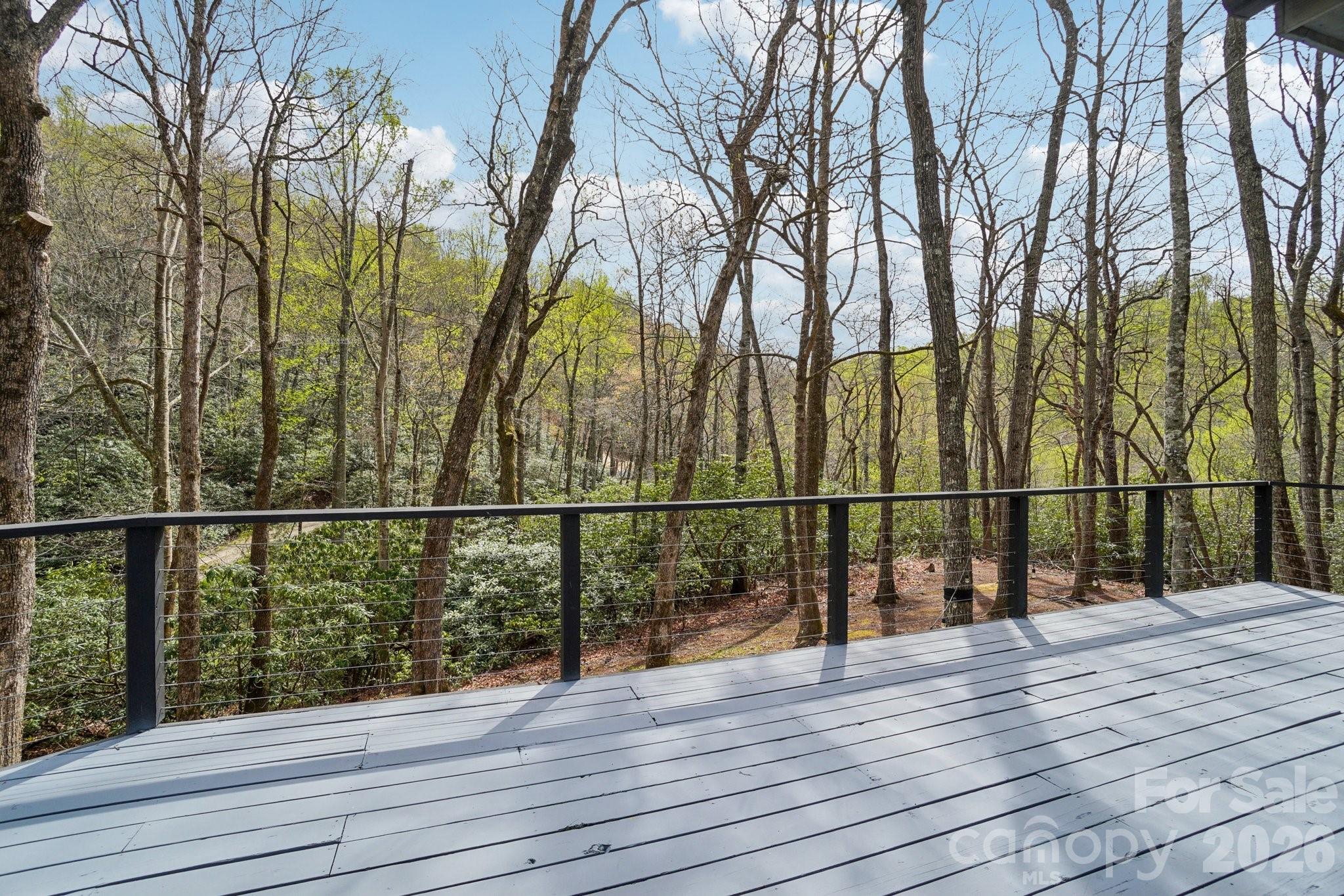 1115 Kilpatrick Road Hendersonville, NC 28739 - Photo 33 of 48