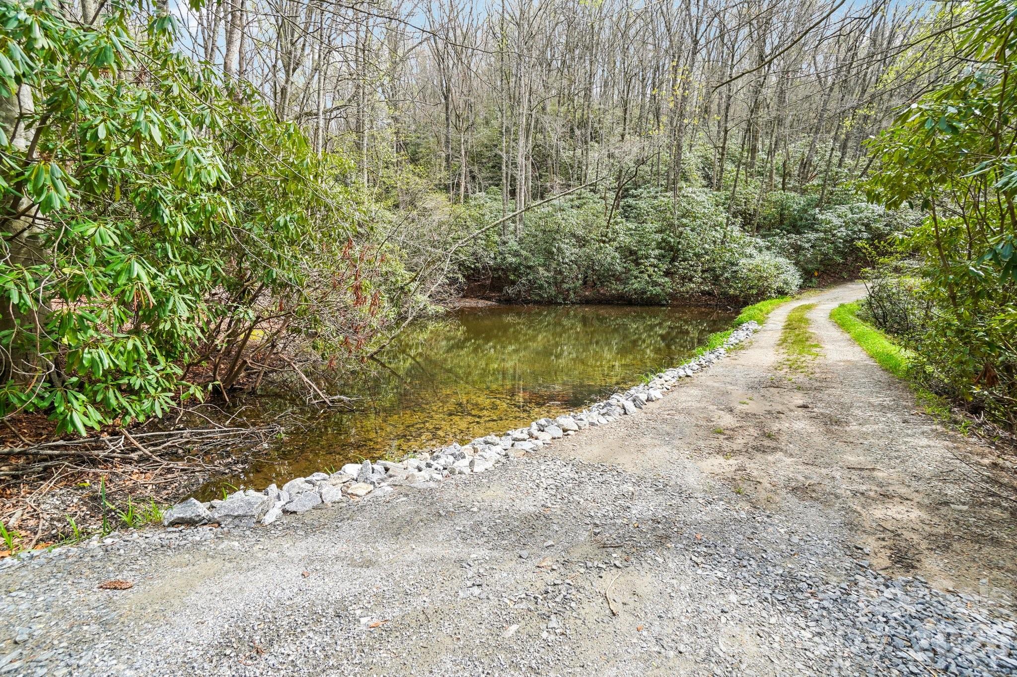 1115 Kilpatrick Road Hendersonville, NC 28739 - Photo 40 of 48